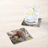 Pine Marten on Log Coaster スクエアペーパーコースター (インサイチュ)