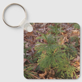 Pine Sapling Keychain Nature-Inspired Gift キーホルダー