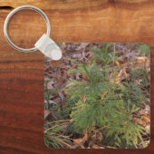Pine Sapling Keychain Nature-Inspired Gift キーホルダー (正面)
