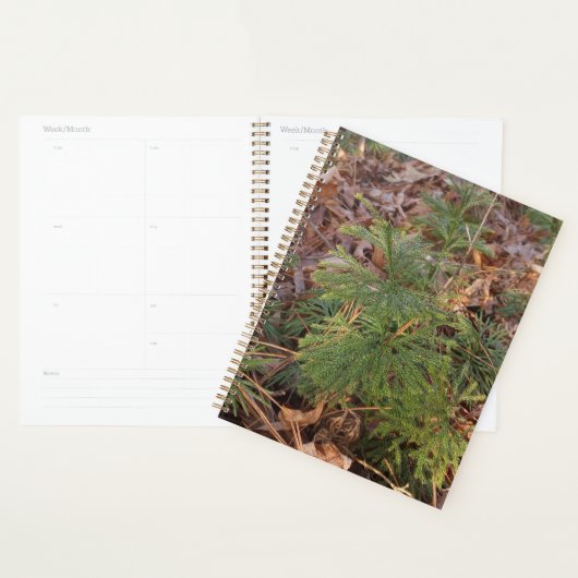 Pine Sapling Spiral Planner プランナー手帳 (ディスプレー)