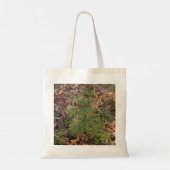 Pine Tree Sapling Photo Canvas Tote Bag トートバッグ (裏面)