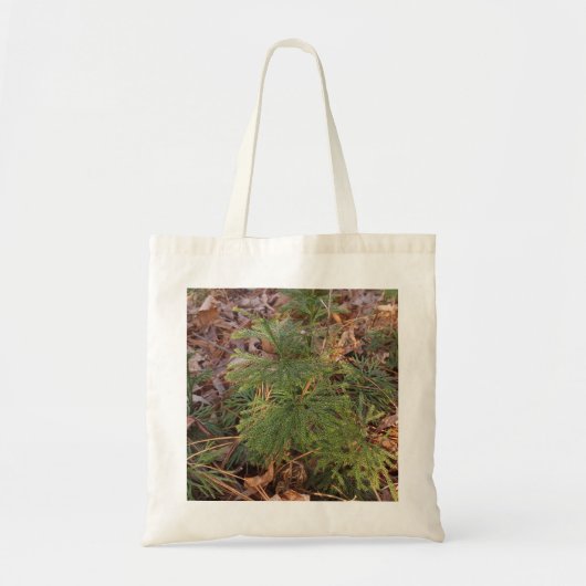 Pine Tree Sapling Photo Canvas Tote Bag トートバッグ (正面)