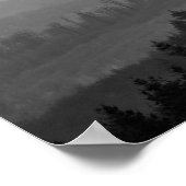Pine trees with mist nature photo ポスター (角)