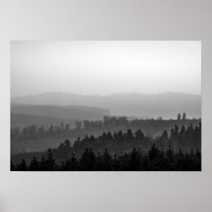 Pine trees with mist nature photo ポスター