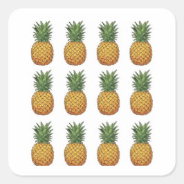 Pineapple  スクエアシール