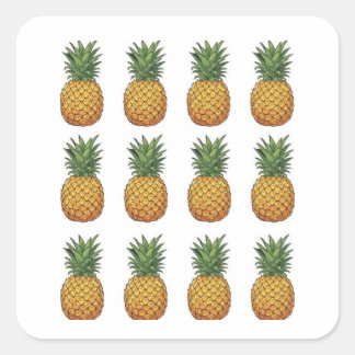 Pineapple  スクエアシール