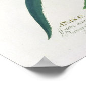 Pineapple engraved by Johann Jakob Haid (1704-67) ポスター (角)