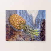 Pineapple Leaning on Rocks at the Beach ジグソーパズル (横)