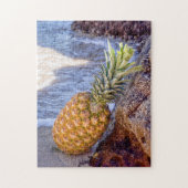 Pineapple Leaning on Rocks at the Beach ジグソーパズル (縦)