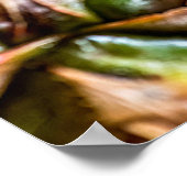 Pineapple with Cut Pineapple Slices, Foodie, ZSSG ポスター (角)