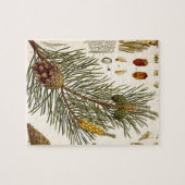Pineconeの松の木のヴィンテージの植物のプリント ジグソーパズル (横)