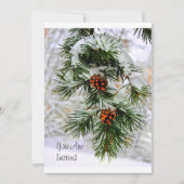 PineConeブランチHD 招待状 (正面)