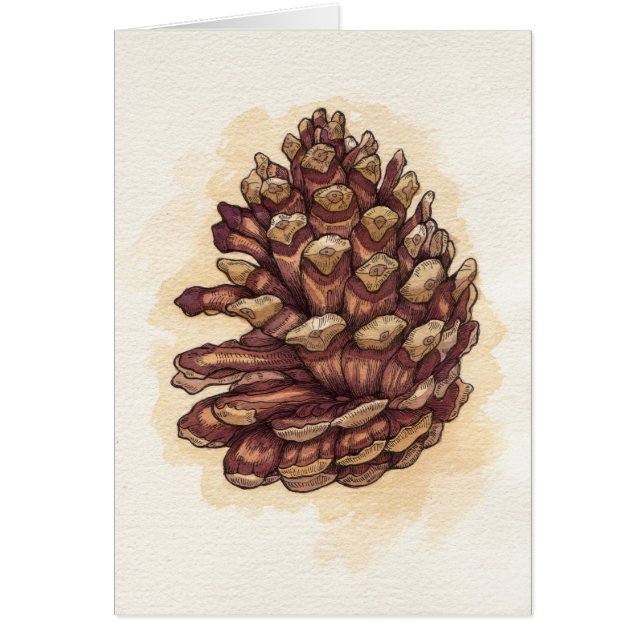 Pinecone (正面)
