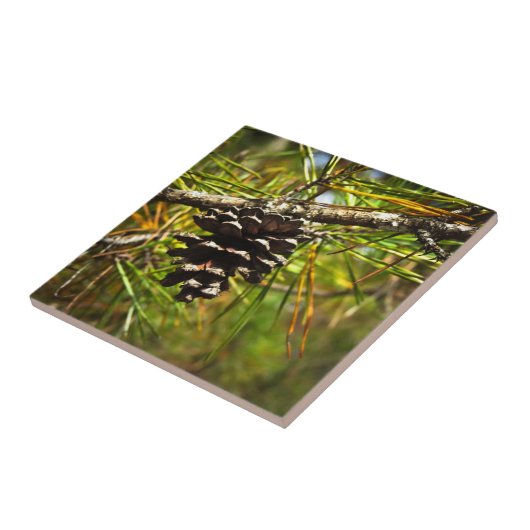Pinecone タイル (側面)