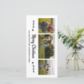 Pineneedle Merry Christmas 3フォトコラージュカード シーズンカード (スタンド正面)