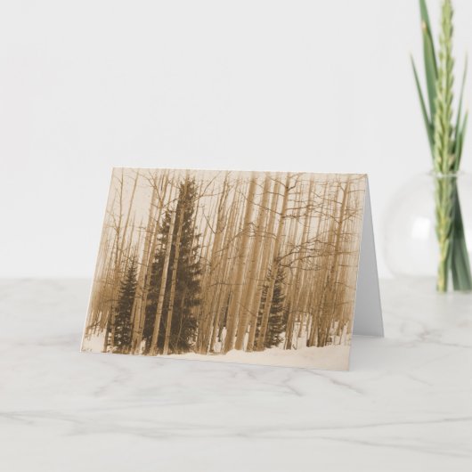 Pines in the Mix - 空白の Inside Greeting Card カード (正面)