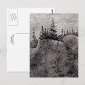 "Pines on the Peak" Country Roadsはがき ポストカード (正面/裏面)