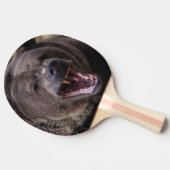 Ping pingゲームの名前を指定します 卓球ラケット (横)