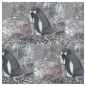 Pinguin with a chick ファブリック (クローズアップ)