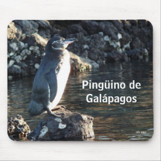 Pinguino deガラパゴス マウスパッド