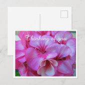 Pink かわいらし Geranium Photo 考える's of You ポストカード (正面/裏面)