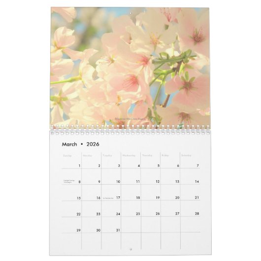 PINK - 2026 Twelve Month Calendar カレンダー (3月 2026)