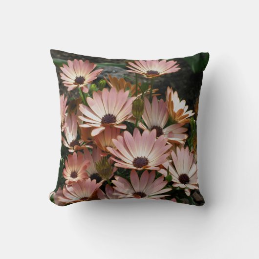 Pink African Daisy Flowers クッション (正面)