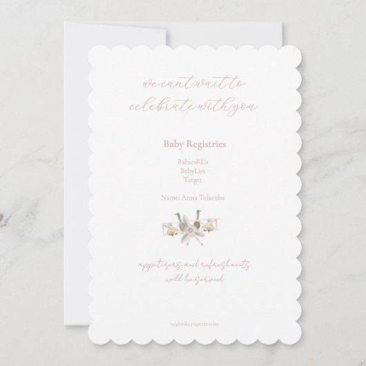 Pink Airplane Baby Shower Invitation (裏面)