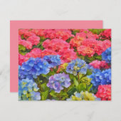 Pink and Blue Hydrangea Flowers Note Card Set ノートカード (正面/裏面)