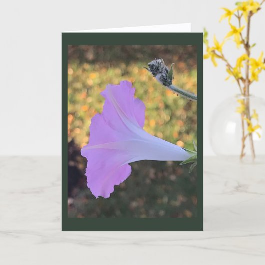 Pink and Gold Sparkle Morning Glory Blank  カード (黄色い花)