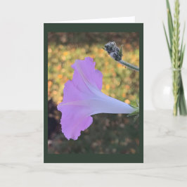Pink and Gold Sparkle Morning Glory Blank  カード