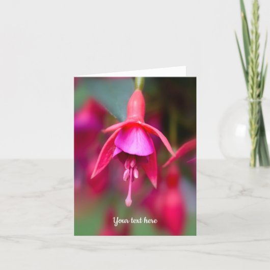 Pink and Purple Fuchsia Folded Greeting Card サンキューカード (正面)