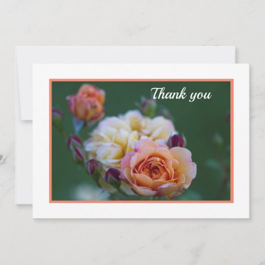 Pink And White Roses Flat Thank You Card サンキューカード (正面)