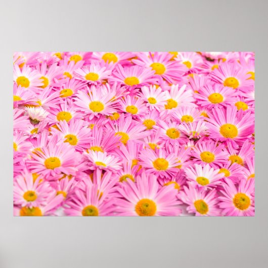 Pink and yellow flowers background  ポスター (正面)