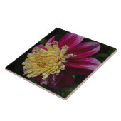 Pink Anemone Dahlia Bloom Floral タイル (側面)