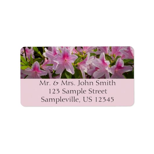 Pink Azalea Bush ラベル (正面)