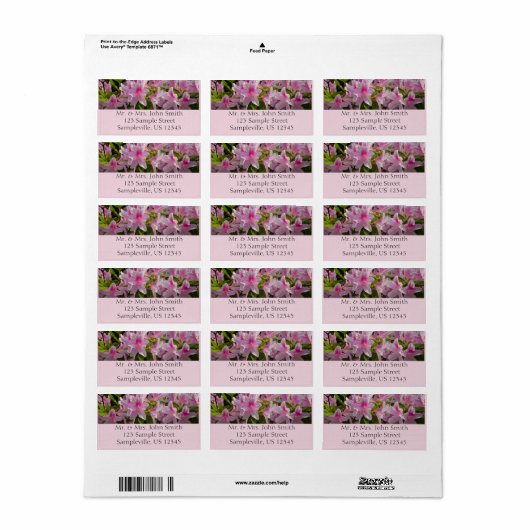 Pink Azalea Bush ラベル (フルシート)