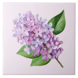 Pink Background Lilac Blossom Art タイル