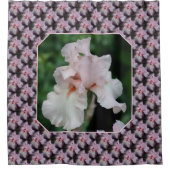 Pink Bearded Iris Flower Pattern シャワーカーテン (正面)