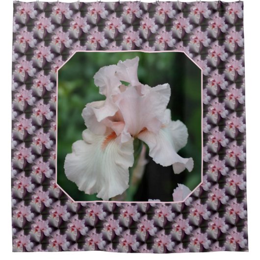Pink Bearded Iris Flower Pattern シャワーカーテン (正面)