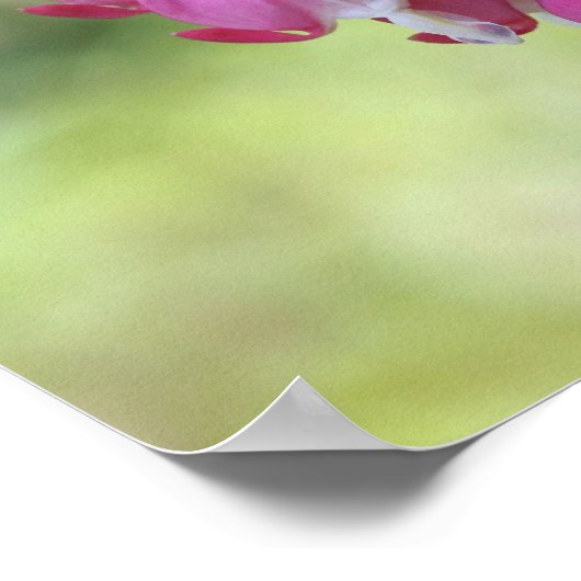 Pink Bleeding Hearts Floral ポスター (角)