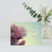 Pink Blossom日付はがきを保存 案内ポストカード (スタンド正面)