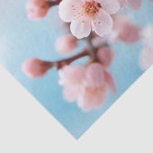 Pink Blossom Cascade  薄葉紙 (詳細)