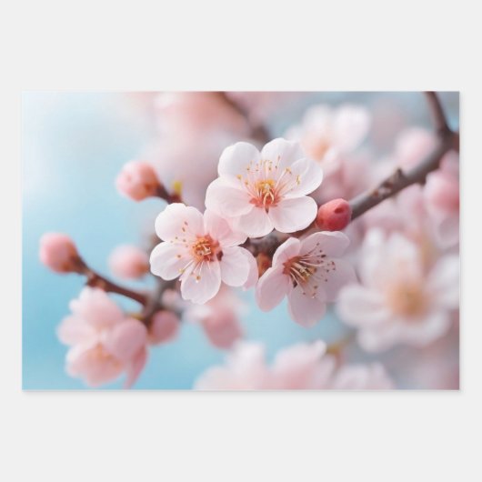 Pink Blossom Ma Wrapping Paper Flat Sheet Set of 3 ラッピングペーパーシート (正面2)