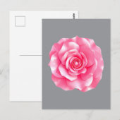 Pink Camellia Bloom ポストカード (正面/裏面)
