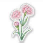 Pink Carnation Botanical Watercolor Custom Name シール (正面)