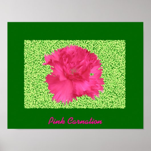 Pink Carnation Print ポスター (正面)