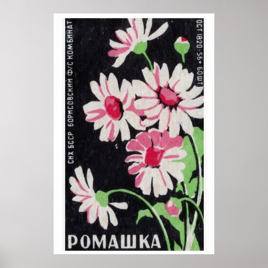 Pink Chamomile Flowers Matchbox Art Print, Russian ポスター (正面)