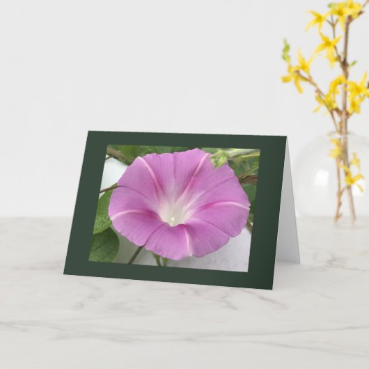 Pink Charm Morning Glory Blank カード (黄色い花)