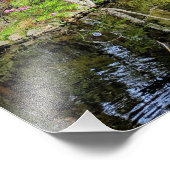 Pink Cherry Blossoms Alongside Pond フォトプリント (角)